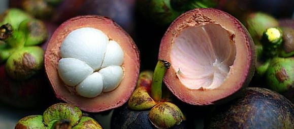 Queen of all the Fruits .... Mangosteen WORKS!