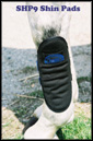 Shin Pads